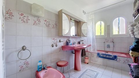 photo no. 5