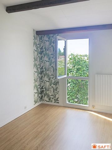 photo no. 11