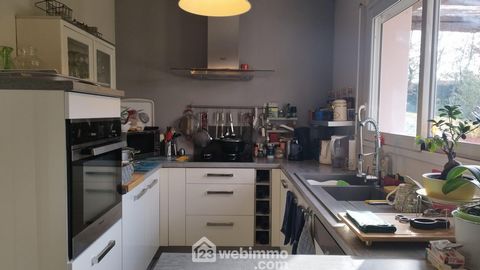 photo no. 13