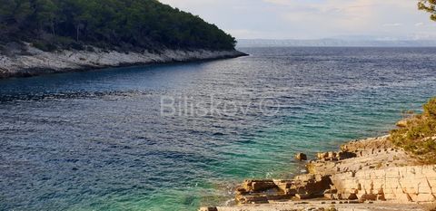 Korcula, 4.5km from Vela Luka, building land in the 1st row of 1962m2 surrounded by olive groves and dense pine forest, ideal for a quiet vacation, a few minutes drive from Vela Luka with all necessary facilities. Currently, there is no necessary inf...