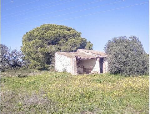 Villablanca - Plot for Sale in Spain Villablanca - Plot for Sale in Spain. Plot near Villablanca / Prov. Huelva. Plot has approx. 4.7 ha, just 3 km outside the village of Villablanca. On the plot there is a small ruin of about 35 m2. 50 olive trees h...