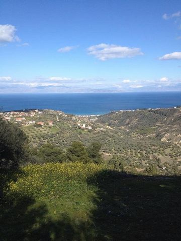Plot of land for sale with an area of 3000 sq.m. at the  Ambelos village, Akrata, inside the settlement of Ambelos, 800 meters from the central square. The plot offers panoramic views of the Gulf of Corinth. There are 48 olive trees on the land, whic...