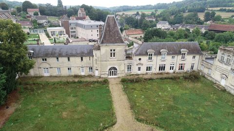 Dpt Aisne (02), VILLERS-COTTERETS proche, à vendre propriété composée d'un château, d'une demeure, d'une maison de gardien sur un parc de 6 ha