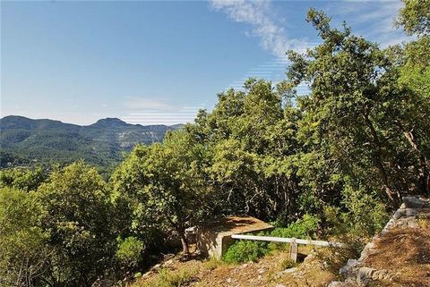 Rustic finca on a plot of 30,000m2 approx. with views of the mountains. This fine house has a house of about 70m2 built, with a living room of about 30m2, fitted kitchen of 8m2, 2 double bedrooms, bathroom, stoneware floors, views of the mountains. V...