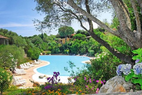 Eingebettet in ein grünes Meer aus wilden Oliven- und Wacholderbäumen befindet sich die exklusive, terrassenfürmig angelegte Appartementanlage an der Bucht von Cala Capra. Die Appartements sind um einen mit Meerwasser befüllten Pool angeordnet und pr...