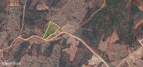 Come and visit this rustic land in the village of Sabacheira with 3640 m2 of area, being, according to the current PDM, agricultural space. Construction is not permitted. Great view with some trees and bush. The village is located between Tomar and O...