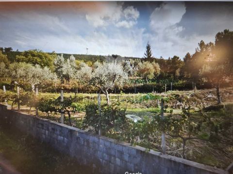 plot of Urban Land, located in Fonte Fria, Castelo Branco. Inserted in a plot of 2860m. It has a small house (in ruins) with the following dimensions: Deployment area of 46m Gross construction area of 79.50m Dependent gross area of 33.50m Don't miss ...