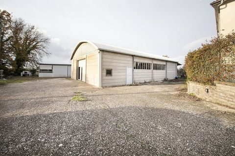 Strada Teverina, in an industrial/agricultural area, we offer for sale a shed for multiple purposes of use for a total of 365 square meters divided as follows: 1- room category D/7 of 260 m2 with adjoining rear space of 60 m2; 2- category D/7 room of...