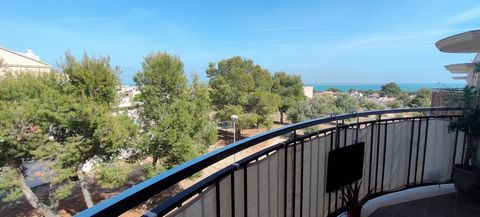 Apartment of 67 m2 in Alcanar beach, Costa Dorada, Tarragona. It has 2 bedrooms, bathroom, living room and kitchenette. Terrace with sea views. Parking space. Communal area with swimming pool and garden. Lift. If you are looking to live in nature and...