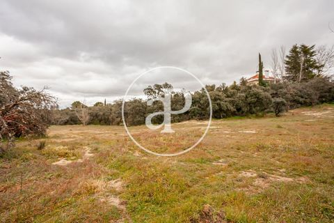 SEGREGABLE LAND IN CIUDALCAMPO. APROPERTIES REAL ESTATE presents a building plot of 8.980m2 in one of the best areas of Ciudalcampo, close to the border with the Regional Park of the Alta del Manzanares.  It has beautiful views, tranquility and close...