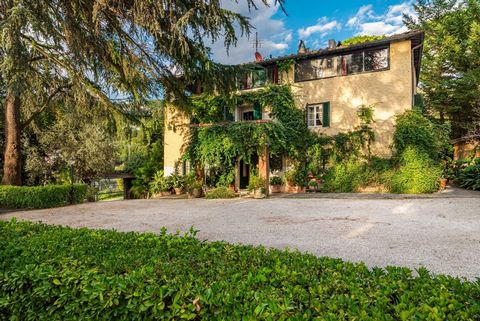 In the heart of the enchanting hills of Versilia, about 10 minutes from the beaches, this magnificent luxury residence presents itself as an authentic jewel of rustic Tuscan architecture. The building, entirely built in stone and embellished with exp...