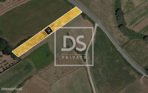 Land in Prezada/ Covões de baixo Rustic land with 2440m2, located on the EN 365 (r. Eusébio Henriques), Prezada/Ventosa. Land with a lot of potential for agriculture/vineyards. Book your visit! This information, although accurate, does not exempt you...