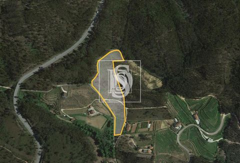 Offre incontournable ! Terrain rustique de 12 000 m² disponible Á Rua Corte da Velha, Arnoia, Celorico de Basto, Braga. Une opportunité unique pour les visionnaires et les entrepreneurs Á la recherche d'un espace spacieux et polyvalent. Avec une supe...