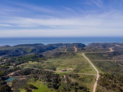 Location: Located in a stunning setting, this property with a total area of 190 Ha between Carrapateira beach and Morração beach, is ideal for investment in ecotourism and offers a unique opportunity to participate in the growing sustainable tourism ...