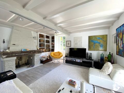 photo no. 11