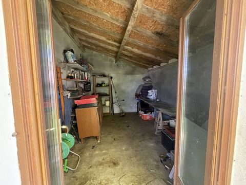 photo no. 15