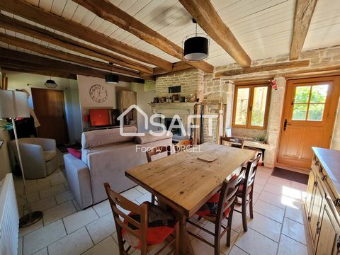 Dans agréable village, au calme, à 9km de Châtillon-sur-Seine, venez découvrir cette confortable maison ancienne rénovée, comprenant en rez-de-chaussée, séjour avec belle cheminée, cuisine équipée ouvrant sur espace terrasse puis un wc séparé. Au pre...