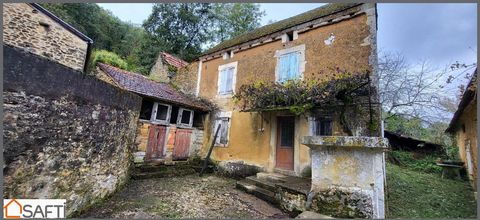 A Paulin à quelques minutes de montignac ce trouve cette petite maison à réhabiliter pour en faire une jolie maison de vacances une grange non attenante en fait partie Les informations sur les risques auxquels ce bien est exposé sont disponibles sur ...