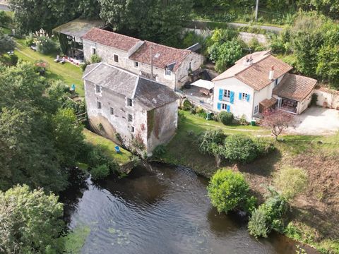 EXCLUSIVE TO BEAUX VILLAGES! Beautiful tranquil setting on the Vienne River close to the historic town Chauvigny, and a rare opportunity to purchase a mill with 2 islands dating back to the 14th Century. As you drive through the electric gates you wi...