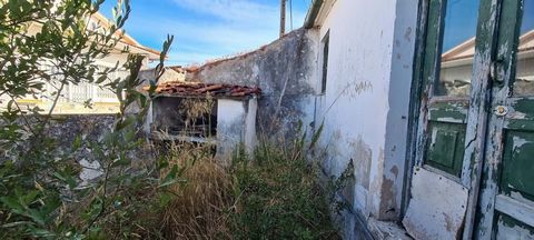 Petite maison aux portes dAlcobaça, dans un état de conservation très précaire et nécessitant de grands travaux. Cette villa contient une petite terrasse/jardin à lavant, 3 chambres de petites surfaces, cuisine avec fumoir et petite salle de bain à l...