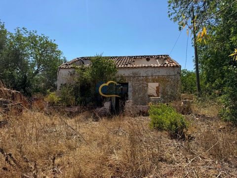 Entdecken Sie diese seltene Investitionsmöglichkeit mit genehmigtem Projekt, die Ihnen ein altes Haus zur Restaurierung in einem malerischen Dorf der Algarve bietet. Diese atemberaubende Immobilie, die sich in Silves befindet, hat eine Wohnfläche von...