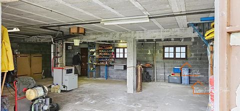 photo no. 11