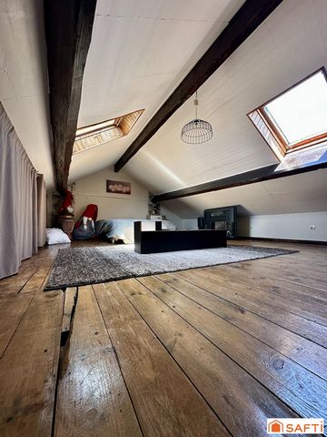 photo no. 11