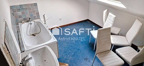 photo no. 11