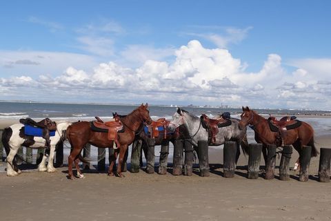 Dit is een gerenoveerd, gezellig dijkhuisje aan de rand van een oer-Hollands landschap in Schoondijke. De woning heeft 3 slaapkamers en is ideaal voor families. Vanuit de omheinde tuin met groot terras kijk je uit over de Tragel, een historische vaar...