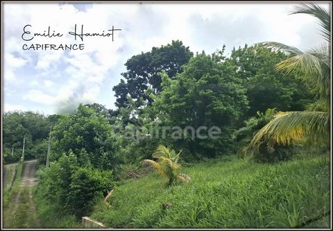 A vendre - Terrain de 776m² - Case Pilote