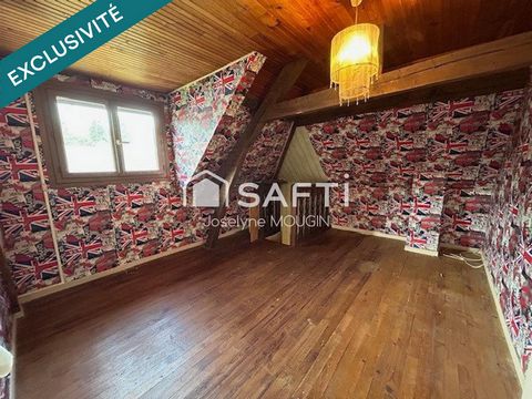 photo no. 13