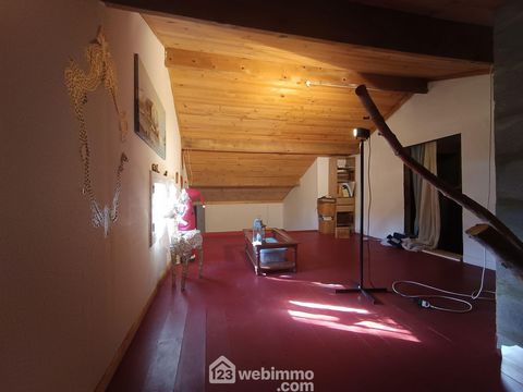 photo no. 12