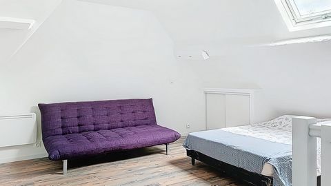 photo no. 12