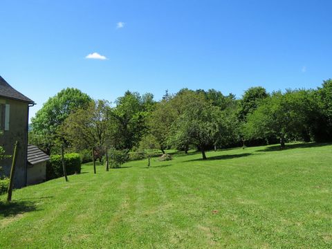 photo no. 6