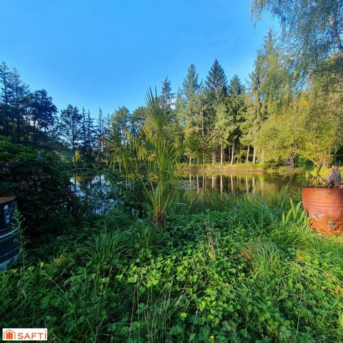 photo no. 10
