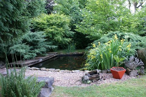 photo no. 6