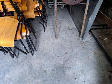 photo no. 4