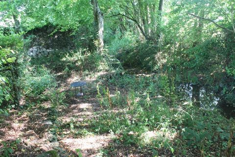 photo no. 11