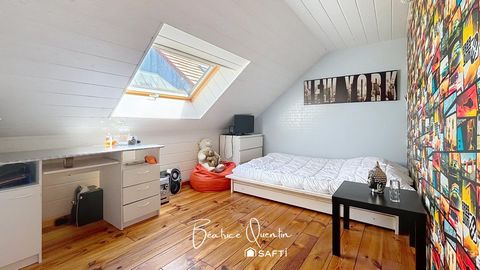 photo no. 12