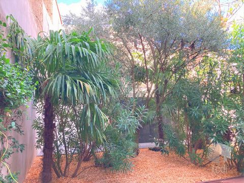 photo no. 19