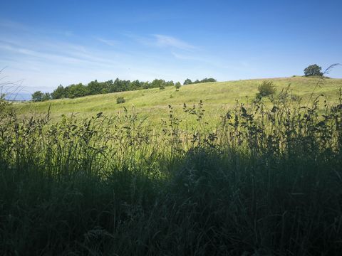 photo no. 25