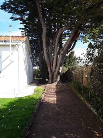 photo no. 5