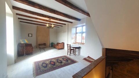 photo no. 11