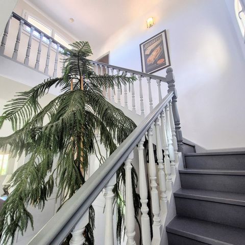 photo no. 18