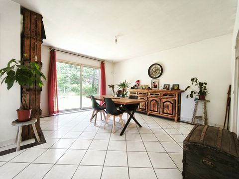 photo no. 2