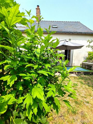 photo no. 11