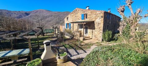 Beau Mas catalan avec gites et piscine