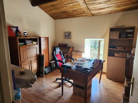 photo no. 15
