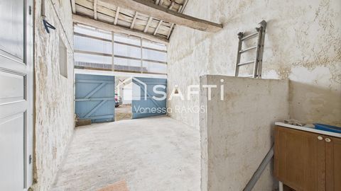 photo no. 8