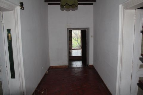 photo no. 8